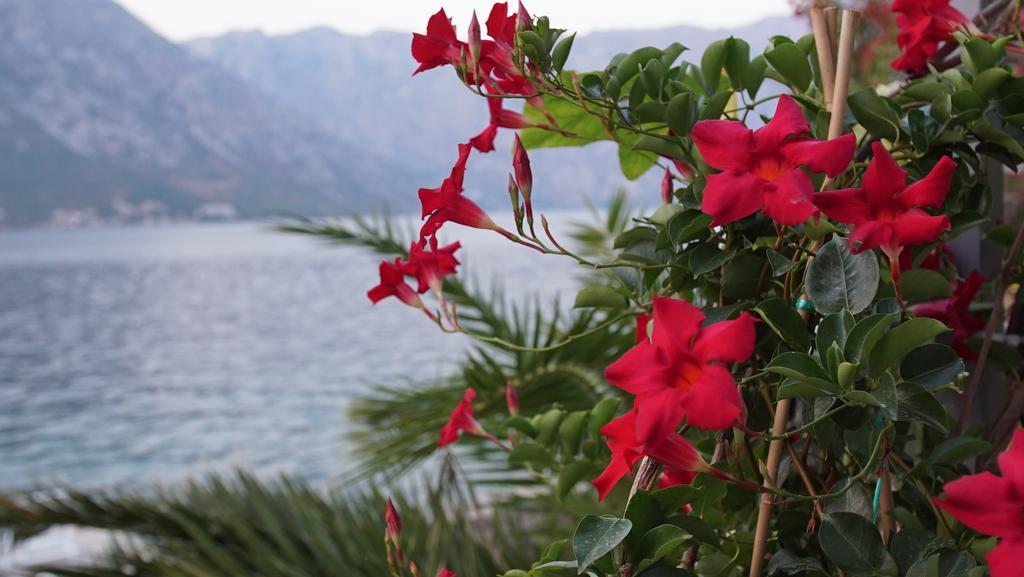 Penthouse Stoliv New Spa-Pool Villa Is Located 5M From The Sea, Exclusive Terrace,Private Jetty Wih Sunbeds, Pebble Beach, Secluded Location Total Area 375M2 At Your Disposal Kotor Extérieur photo